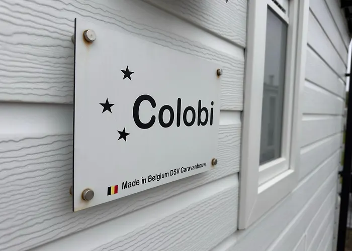 Oasis Middelkerke Romy 1, 2, 3, 4 Campeggio